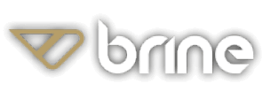 Brine Logo white
